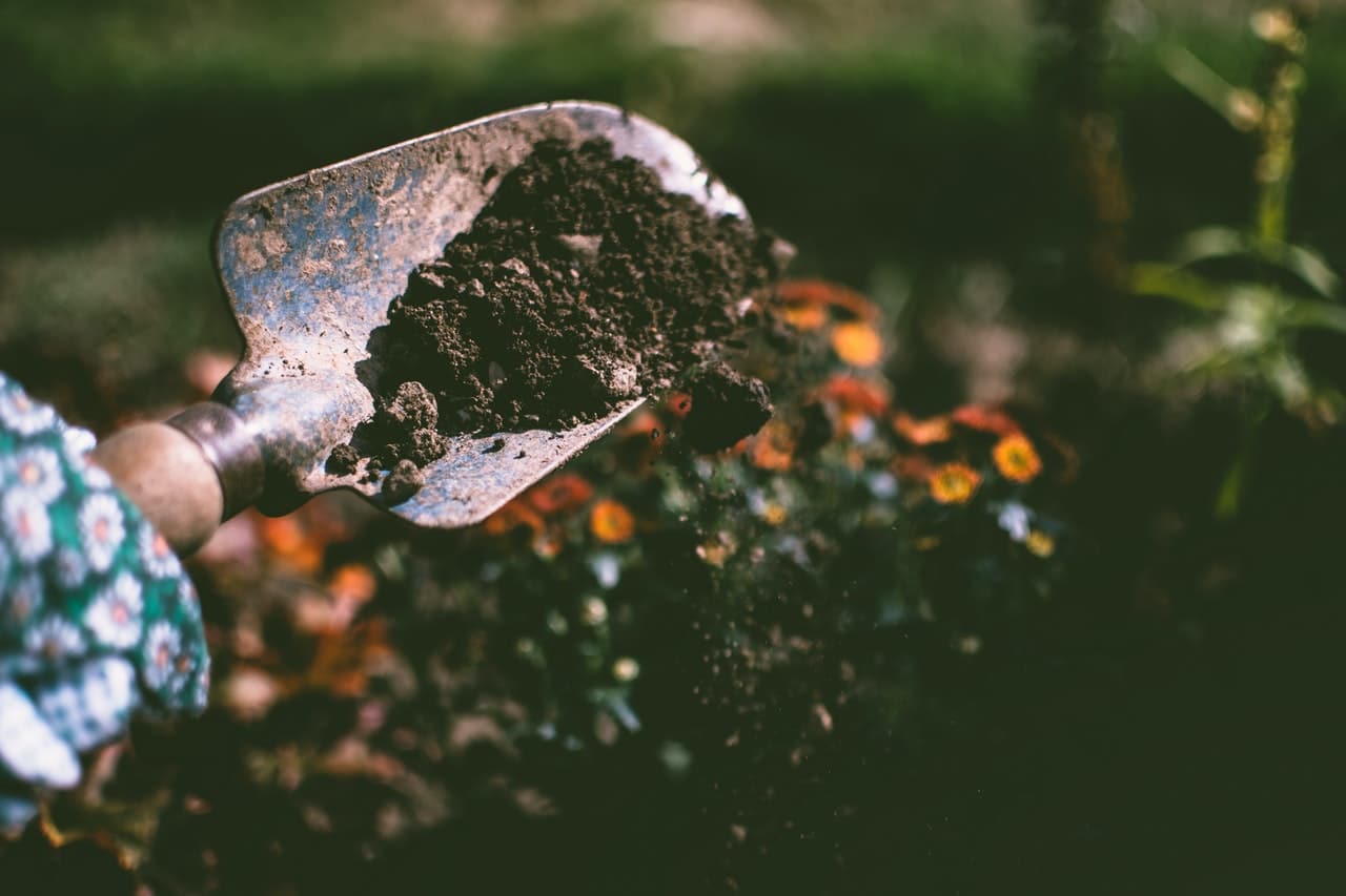 person-digging-on-soil-using-garden-shovel-1301856