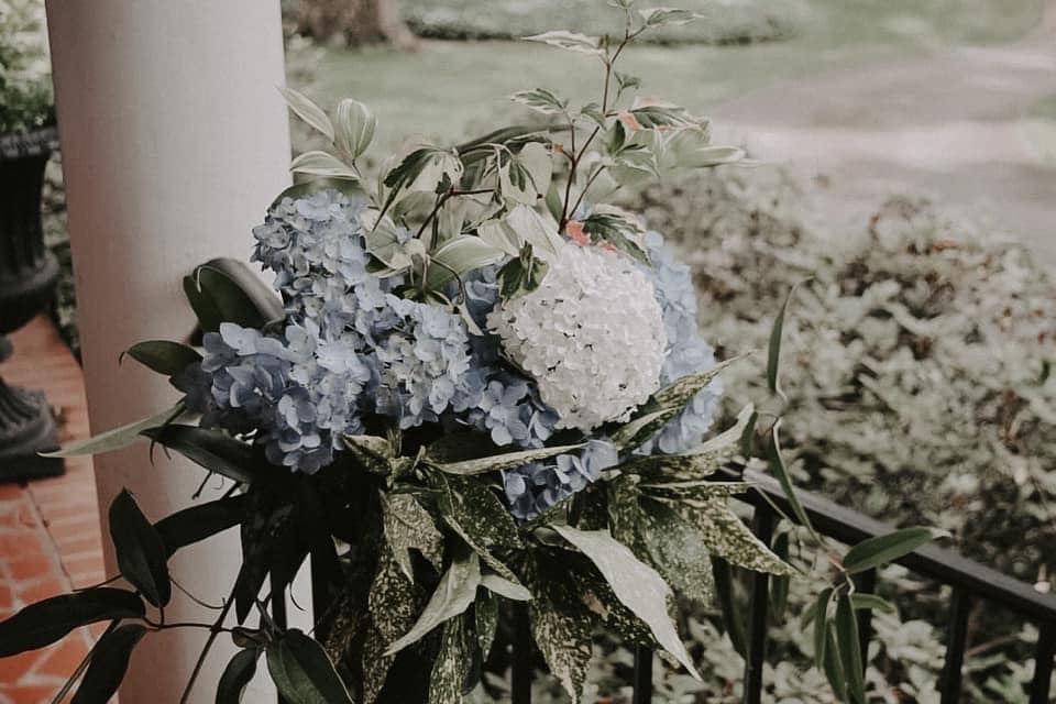 hydrangea theme